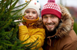 Kedy kúpiť živý vianočný stromček a ako si správne vybrať?